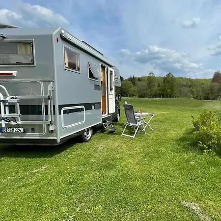 Alte Muehle Boerfink *